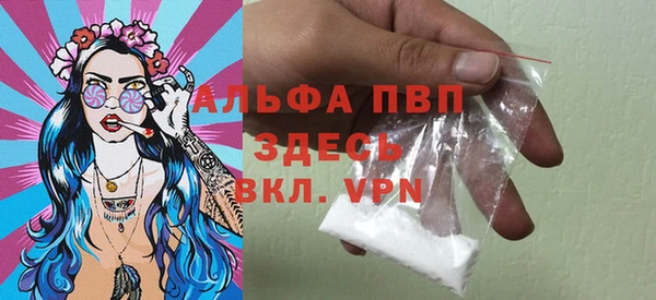 сатива Болхов
