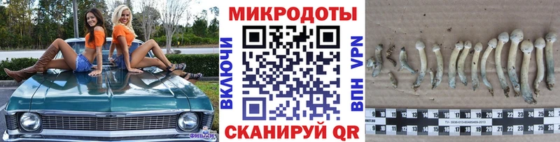 Псилоцибиновые грибы GOLDEN TEACHER  Первомайск 